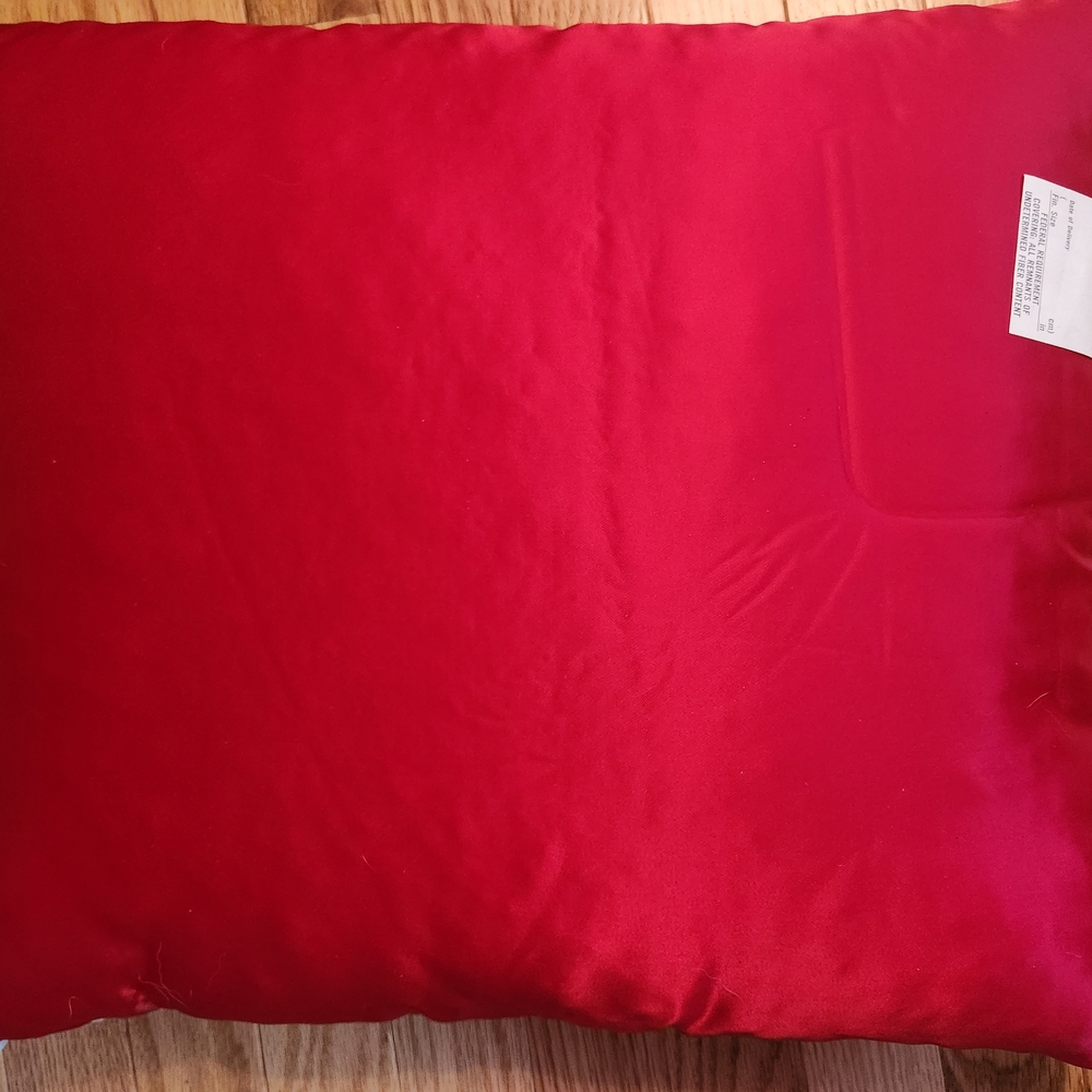 Goodwrench Service Plus Racing Pillow - Picture 2 of 2
